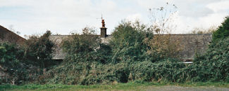 Lynton gunshed